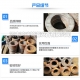 防水翼環(huán)使用廣泛，那么你知道防水翼環(huán)的設計理念和特點嗎？